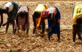 Burkina Faso-Le Programme d’Appui au Développement des Economies locales (PADEL) officiellement lancé