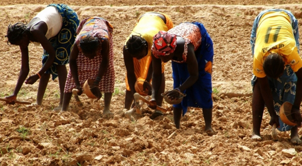 Burkina Faso-Le Programme d’Appui au Développement des Economies locales (PADEL) officiellement lancé