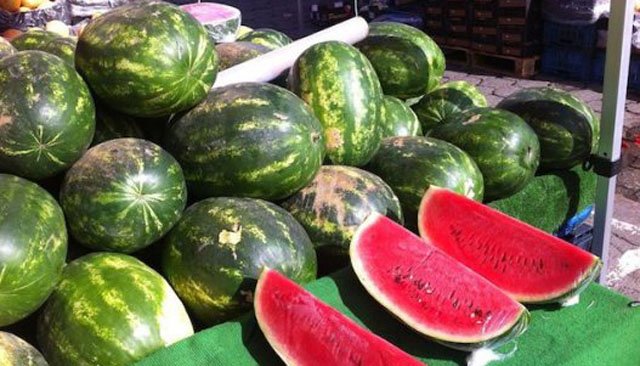 Maroc : Les exportations de pastèques et melons explosent!