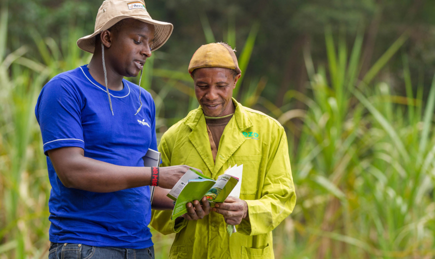 € 4 millions de NSIA à Doreo Partners pour former 50 000 agriculteurs au Nigéria