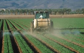 Tchad : la stratégie nationale de mécanisation agricole se précise