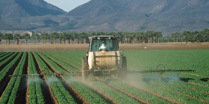 Côte d’Ivoire  : la facture salée des pesticides frauduleux