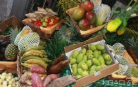 Côte d’Ivoire: Agrofood quitte Accra pour Abidjan pour son cinquième salon