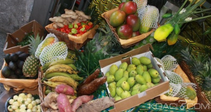 Côte d’Ivoire: Agrofood quitte Accra pour Abidjan pour son cinquième salon