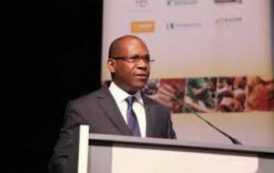 Côte d’Ivoire : Directeur exécutif de l’ICCO, l’ivoirien Marc Anga remplacé par un Belge