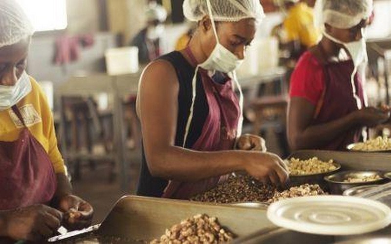 Agriculture : le fonds d’impact ABC en faveur des entrepreneurs ruraux opérationnel