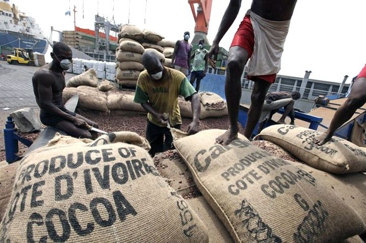 Campagne café-cacao 2017-2018 : Ce qui attend les acheteurs véreux