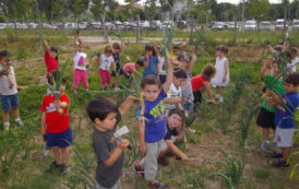 VIVRE EN SANTÉ / TRIODOS Huertos 4ème édition du Prix écologique éducation