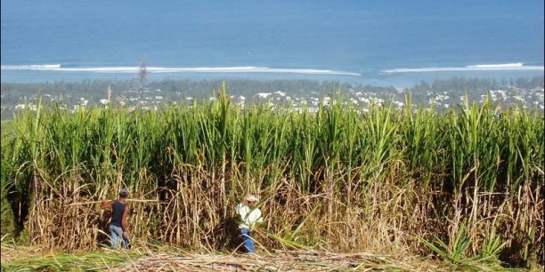 La Tanzanie veut porter sa production de sucre à 420.000 tonnes d’ici 2021