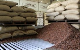 Côte d’Ivoire-Cacao : maintien du prix d’achat garanti aux producteurs