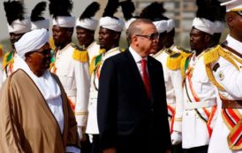 Turquie-Afrique : les dessous de la nouvelle tournée d’Erdogan sur le Continent