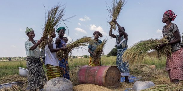 CEMAC : dernière ligne droite pour mobiliser 130 milliards de Fcfa pour le secteur agricole