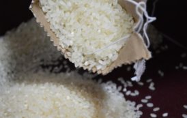 Le Burkina Faso commande 2 700 tonnes de riz pour faire face à la crise humanitaire