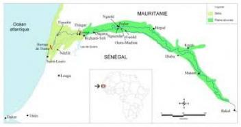 750 000 t de riz attendues en 2017 dans la Vallée du fleuve Sénégal