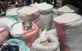 Cameroun – Agriculture. Une production annuelle de 1,2 million de tonnes de riz projeté au Cameroun