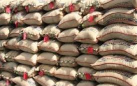 Mise sur le marché demain du riz ghanéen Edwumawura du groupe Nduom