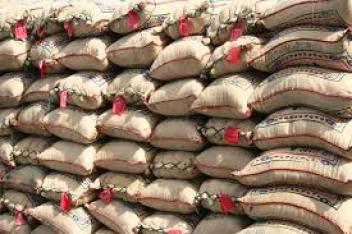 Mise sur le marché demain du riz ghanéen Edwumawura du groupe Nduom