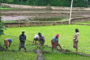 Gabon : Dialogue Ministériel de Haut Niveau et lancement du Programme sur les pertes post-récolte et l’agro-industrie, Abidjan  en images