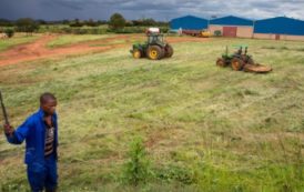 COP 22 : l’agriculture africaine peut relever le défi environnemental