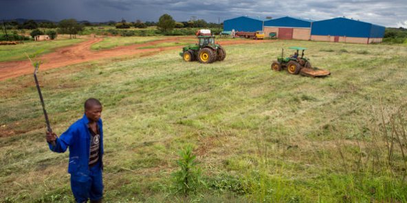 COP 22 : l’agriculture africaine peut relever le défi environnemental