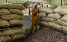 Le Ghana et la Côte d’Ivoire s’associent face à la crise du cacao