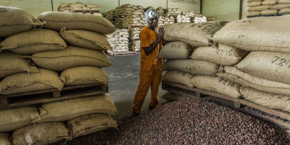 Côte d’Ivoire : pourquoi les cours du cacao sont plombés ?