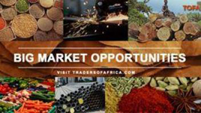 Ghana : La plateforme en ligne Traders of Africa lancée demain au Ghana