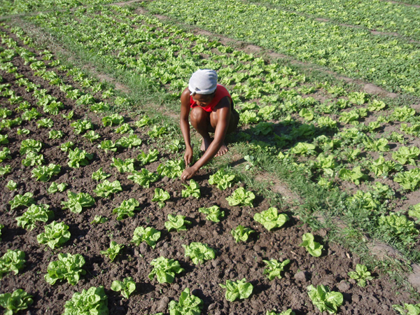 Tchad : la France octroie plus de 2 millions d’euros pour lutter contre l’insécurité alimentaire