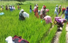 Sécurité alimentaire  : le programme «un million de citernes pour le Sahel» atterrit au Sénégal