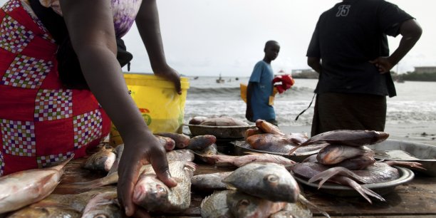 Sénégal : la pêche dans le peloton des secteurs pourvoyeurs de devises