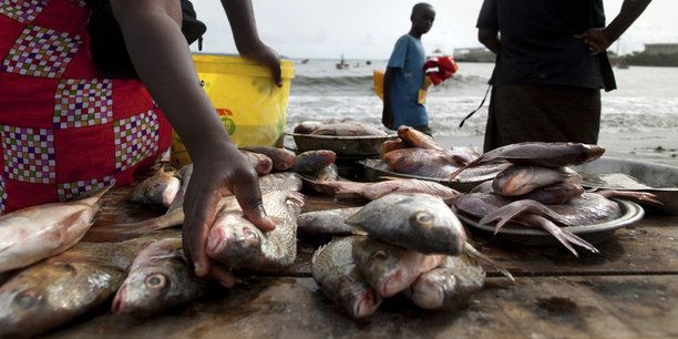 Pêche : l’UE se félicite d’un partenariat gagnant-gagnant avec le Gabon