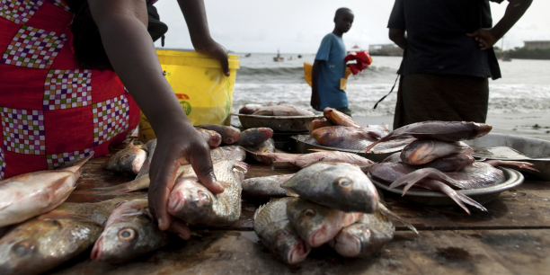 Les sénégalais mangent mieux en 2017 selon la Banque mondiale