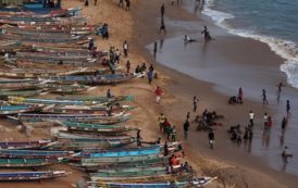 Sénégal : les exportations maintiennent leur trend haussier