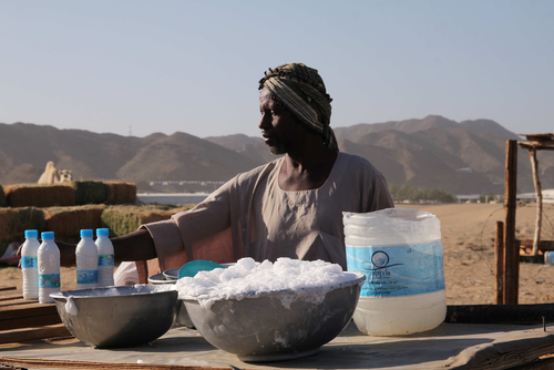 Tchad : la filière “lait local” a d’énormes potentiels économiques