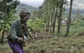 Protégeons les petites exploitations agricoles !