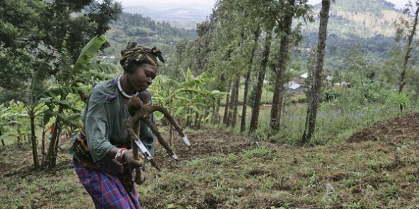 Protégeons les petites exploitations agricoles !