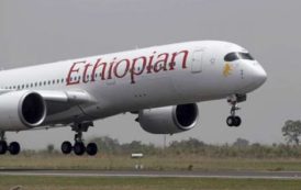 Le Lomé-Joburg d’Ethiopian Airlines suspendu « temporairement » au bout d’une dizaine de jours