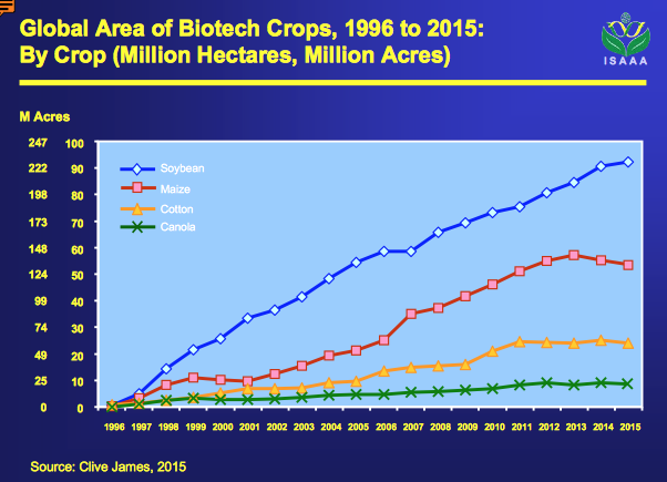 Pour la première fois, les superficies mondiales d’OGM régressent