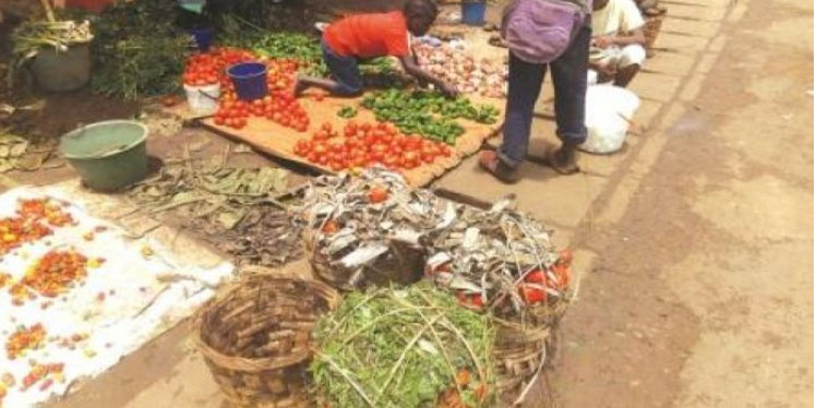 Cameroun / Tomate : les prix flambent