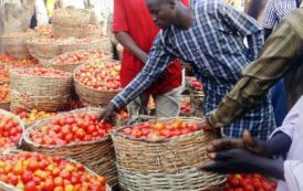 Inflation : Le Prix De La Tomate Grimpe Sur Le Marché