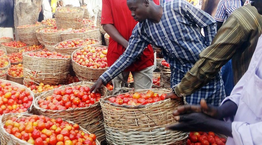 Inflation : Le Prix De La Tomate Grimpe Sur Le Marché