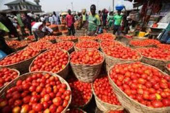 L’abondance des récoltes au Nigeria fait chuter de 45% les prix de légumes