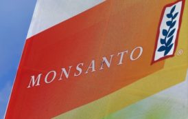 OGM : l’allemand Bayer propose 62 milliards de dollars pour s’offrir Monsanto