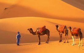 Tourisme : la Mauritanie à nouveau fréquentable ?