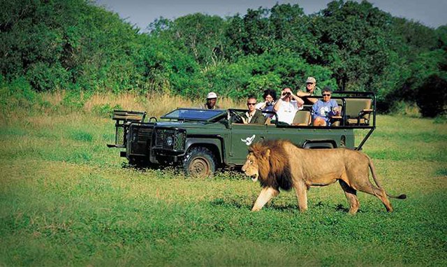 Hausse de 8% de touristes en l’Afrique