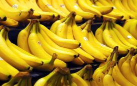 Nouveau record de consommation de banane en France en 2018