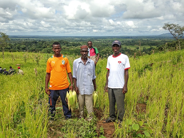 Les personnes physiques en Côte d’Ivoire peuvent désormais bénéficier de certificats fonciers sur les terres agricoles