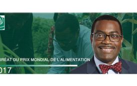 Adesina, Président de la Banque africaine de développement (BAD) remporte le prix mondial de l’alimentation 2017