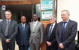 Côte d’Ivoire : Recherche agronomique: Le CIRAD à Abidjan pour soutenir les projets de développement