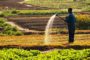 La boulangerie en Afrique, nouvel eldorado pour les entrepreneurs ?